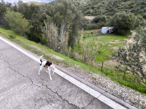 TERRENO COM 5.760 M² - COM FURO - ACESSO DIRETO À ÁGUA - JUNTO AO RIO GUADIANA - ALCOUTIM - ALGARVE