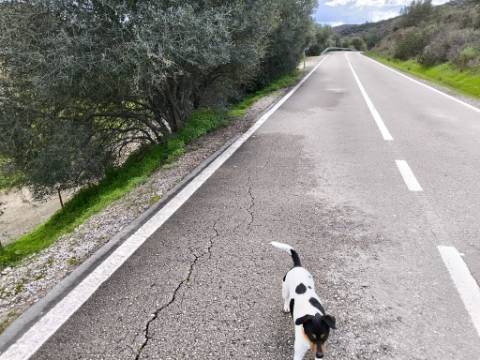 TERRENO COM 5.760 M² - COM FURO - ACESSO DIRETO À ÁGUA - JUNTO AO RIO GUADIANA - ALCOUTIM - ALGARVE