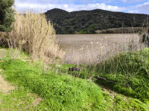 TERRENO COM 5.760 M² - COM FURO - ACESSO DIRETO À ÁGUA - JUNTO AO RIO GUADIANA - ALCOUTIM - ALGARVE