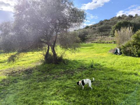 TERRENO COM 5.760 M² - COM FURO - ACESSO DIRETO À ÁGUA - JUNTO AO RIO GUADIANA - ALCOUTIM - ALGARVE