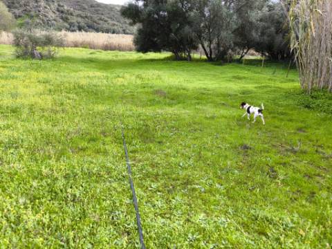 TERRENO COM 5.760 M² - COM FURO - ACESSO DIRETO À ÁGUA - JUNTO AO RIO GUADIANA - ALCOUTIM - ALGARVE