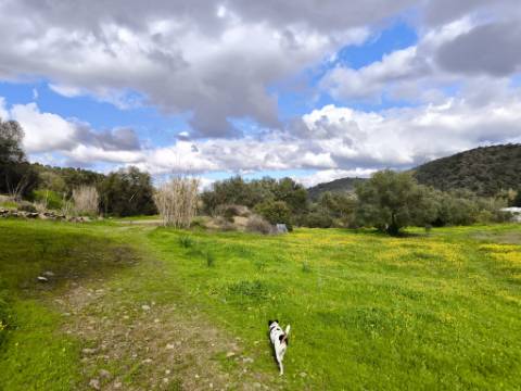 TERRENO COM 5.760 M² - COM FURO - ACESSO DIRETO À ÁGUA - JUNTO AO RIO GUADIANA - ALCOUTIM - ALGARVE