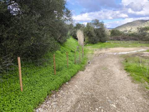 TERRENO COM 5.760 M² - COM FURO - ACESSO DIRETO À ÁGUA - JUNTO AO RIO GUADIANA - ALCOUTIM - ALGARVE