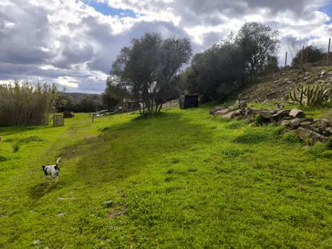 TERRENO COM 5.760 M² - COM FURO - ACESSO DIRETO À ÁGUA - JUNTO AO RIO GUADIANA - ALCOUTIM - ALGARVE