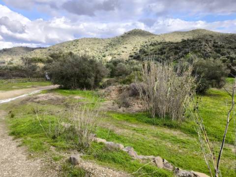 TERRENO COM 5.760 M² - COM FURO - ACESSO DIRETO À ÁGUA - JUNTO AO RIO GUADIANA - ALCOUTIM - ALGARVE