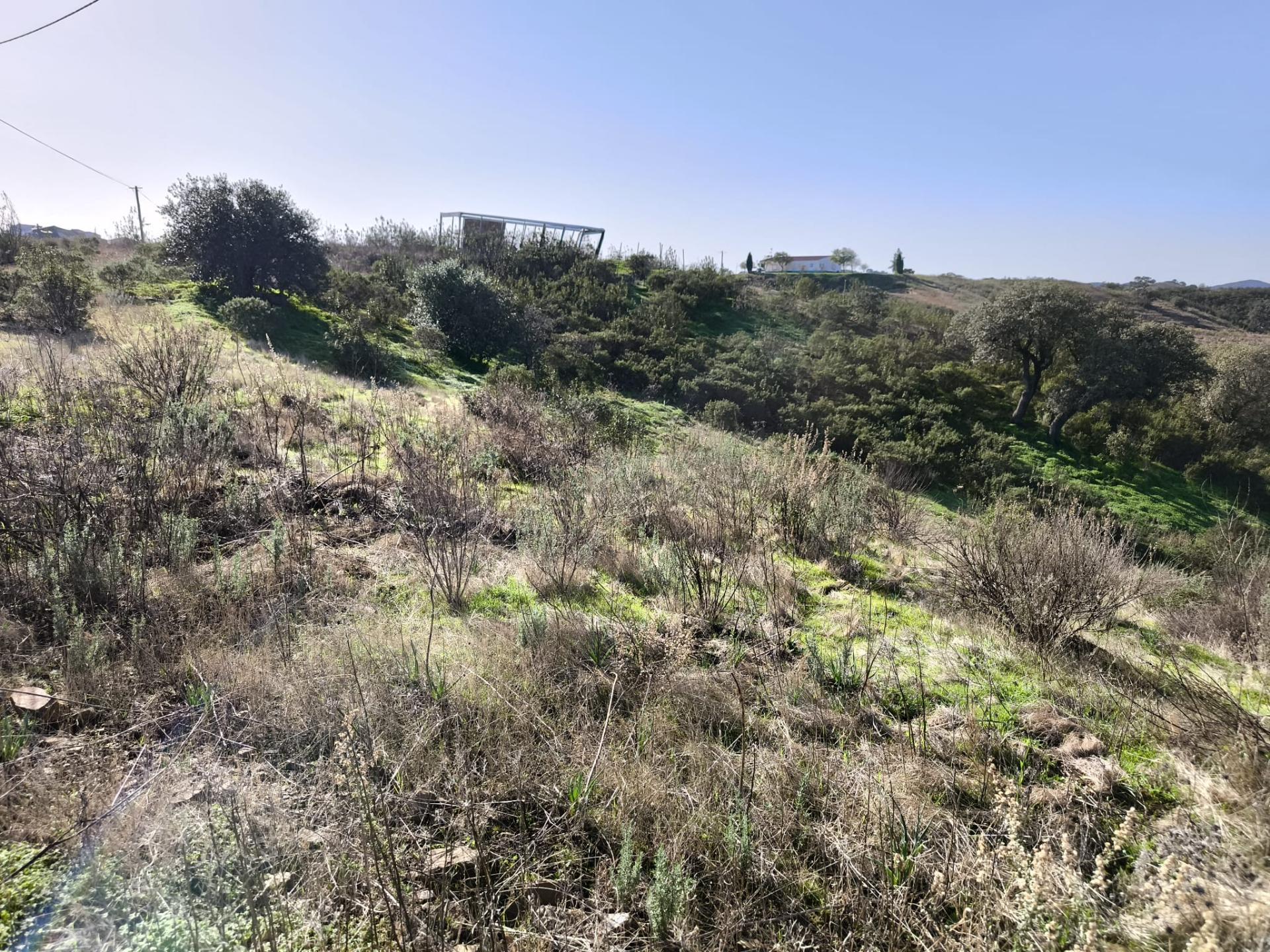 TERRENO COM 2.120 M² - COM TERRAÇOS - JUNTO AO ASFALTO - NA CORTE DO GAGO EM CASTRO MARIM - ALGARVE