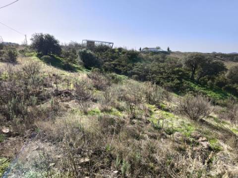 TERRENO COM 2.120 M² - COM TERRAÇOS - JUNTO AO ASFALTO - NA CORTE DO GAGO EM CASTRO MARIM - ALGARVE