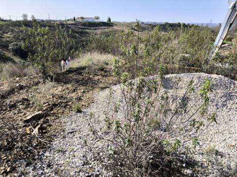 TERRENO COM 2.120 M² - COM TERRAÇOS - JUNTO AO ASFALTO - NA CORTE DO GAGO EM CASTRO MARIM - ALGARVE
