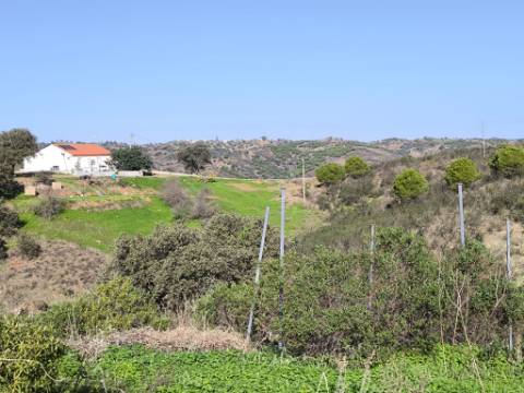TERRENO COM 2.120 M² - COM TERRAÇOS - JUNTO AO ASFALTO - NA CORTE DO GAGO EM CASTRO MARIM - ALGARVE