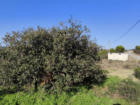 TERRENO COM 2.120 M² - COM TERRAÇOS - JUNTO AO ASFALTO - NA CORTE DO GAGO EM CASTRO MARIM - ALGARVE