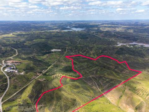 Terreno Rústico para Venda em Botelhas - Castro Marim