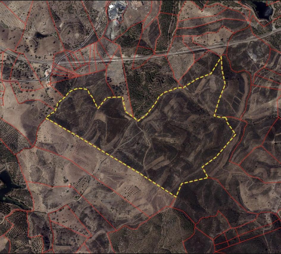 Terreno Rústico para Venda em Botelhas - Castro Marim