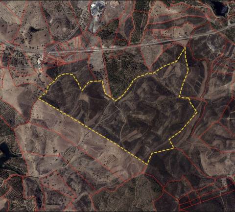 Terreno Rústico para Venda em Botelhas - Castro Marim