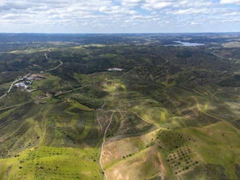 Terreno Rústico para Venda em Botelhas - Castro Marim