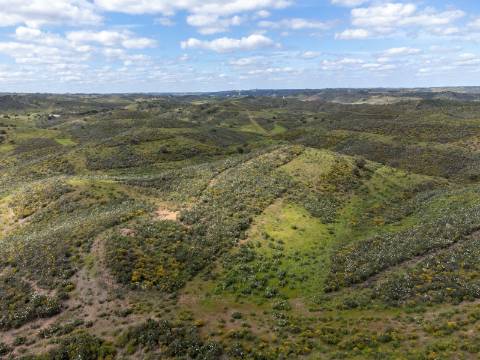 Terreno Rústico para Venda em Botelhas - Castro Marim