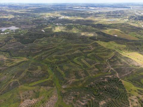 Terreno Rústico para Venda em Botelhas - Castro Marim