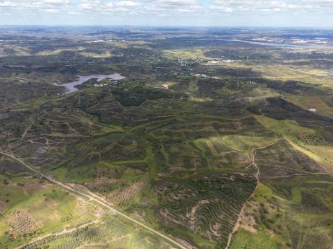 Terreno Rústico para Venda em Botelhas - Castro Marim