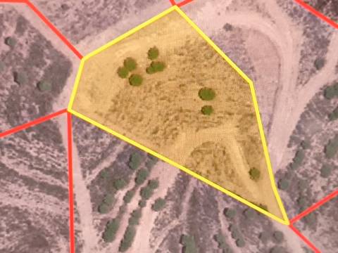 TERRENO RUSTICO COM ÁGUA - ESTRUTURA AMOVÍVEL - CORTE DO GAGO - CASTRO MARIM - ALGARVE