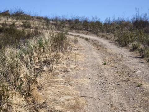 TERRENO RUSTICO COM ÁGUA - ESTRUTURA AMOVÍVEL - CORTE DO GAGO - CASTRO MARIM - ALGARVE
