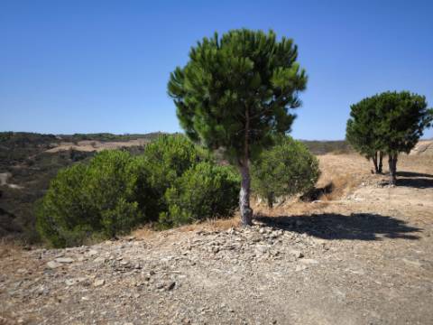 TERRENO RUSTICO COM ÁGUA - ESTRUTURA AMOVÍVEL - CORTE DO GAGO - CASTRO MARIM - ALGARVE