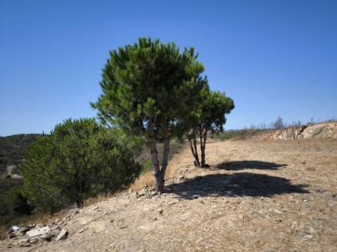 TERRENO RUSTICO COM ÁGUA - ESTRUTURA AMOVÍVEL - CORTE DO GAGO - CASTRO MARIM - ALGARVE