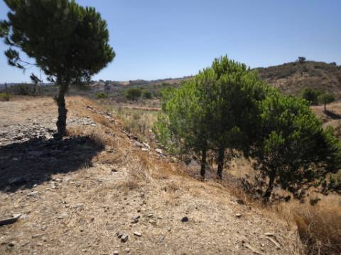 TERRENO RUSTICO COM ÁGUA - ESTRUTURA AMOVÍVEL - CORTE DO GAGO - CASTRO MARIM - ALGARVE
