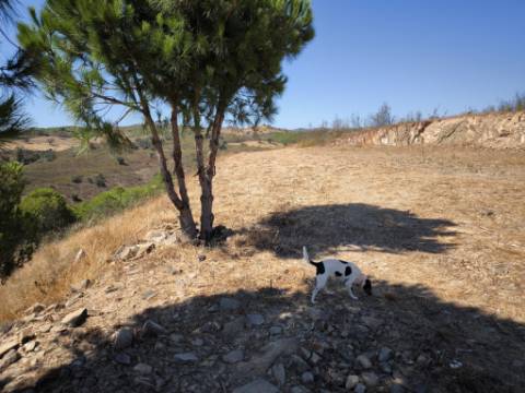 TERRENO RUSTICO COM ÁGUA - ESTRUTURA AMOVÍVEL - CORTE DO GAGO - CASTRO MARIM - ALGARVE