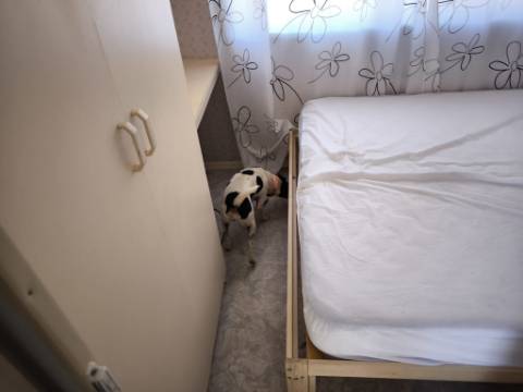 TERRENO RUSTICO COM ÁGUA - ESTRUTURA AMOVÍVEL - CORTE DO GAGO - CASTRO MARIM - ALGARVE