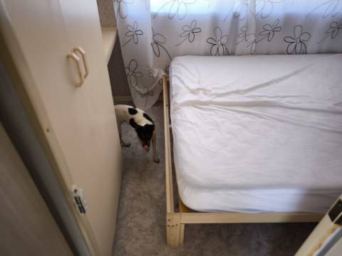 TERRENO RUSTICO COM ÁGUA - ESTRUTURA AMOVÍVEL - CORTE DO GAGO - CASTRO MARIM - ALGARVE