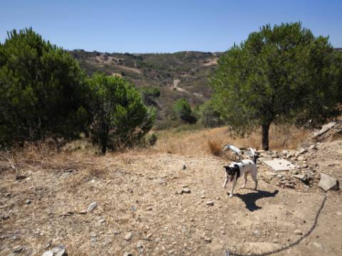 TERRENO RUSTICO COM ÁGUA - ESTRUTURA AMOVÍVEL - CORTE DO GAGO - CASTRO MARIM - ALGARVE