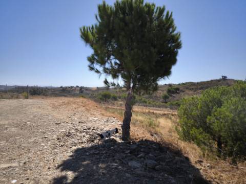 TERRENO RUSTICO COM ÁGUA - ESTRUTURA AMOVÍVEL - CORTE DO GAGO - CASTRO MARIM - ALGARVE