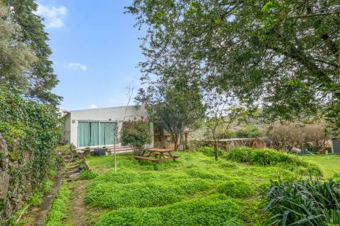 Quinta com Moradia e Terreno Total de 4.680 m² | Arruda dos Vinhos