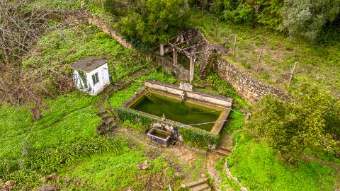 Quinta com Moradia e Terreno Total de 4.680 m² | Arruda dos Vinhos