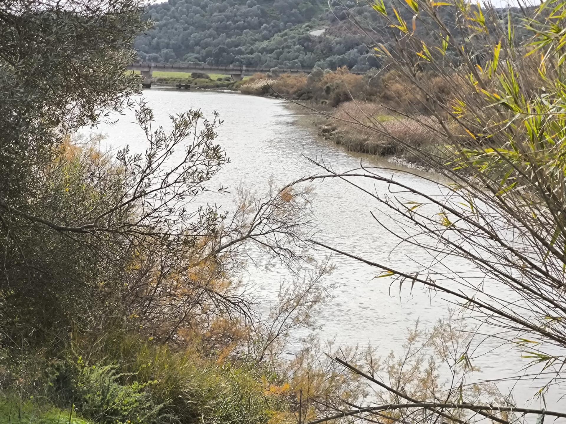 TERRENO RÚSTICO COM 1.920 M² - PRÓXIMO A ELETRICIADADE - JUNTO À RIBEIRA DE ODELEITE - FOZ DE ODELEITE EM CASTRO MARIM - ALGARVE