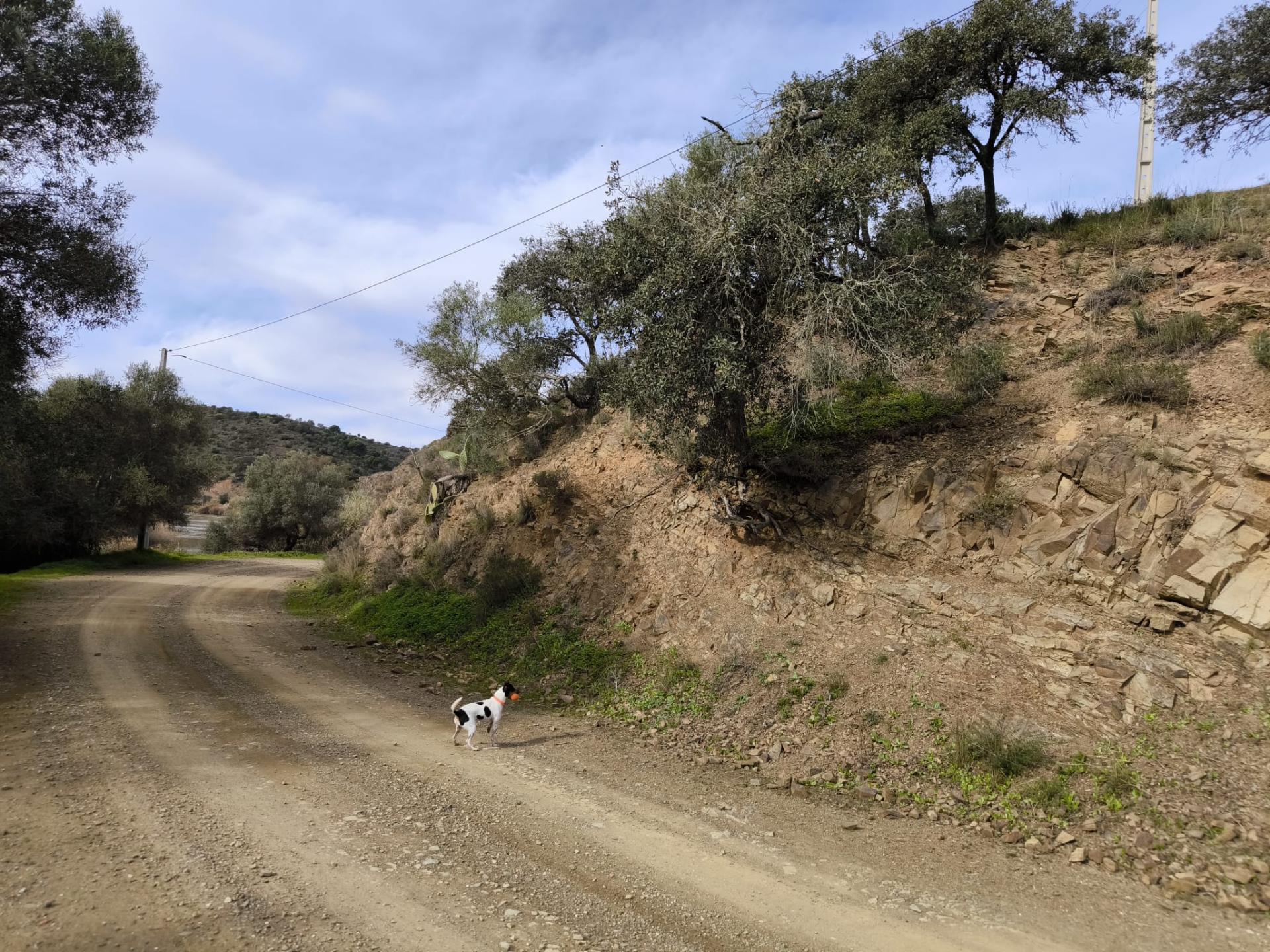 TERRENO RÚSTICO COM 1.920 M² - PRÓXIMO A ELETRICIADADE - JUNTO À RIBEIRA DE ODELEITE - FOZ DE ODELEITE EM CASTRO MARIM - ALGARVE