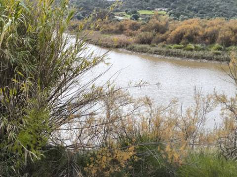 TERRENO RÚSTICO COM 1.920 M² - PRÓXIMO A ELETRICIADADE - JUNTO À RIBEIRA DE ODELEITE - FOZ DE ODELEITE EM CASTRO MARIM - ALGARVE