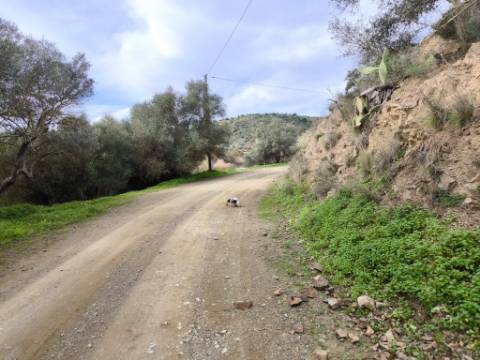 TERRENO RÚSTICO COM 1.920 M² - PRÓXIMO A ELETRICIADADE - JUNTO À RIBEIRA DE ODELEITE - FOZ DE ODELEITE EM CASTRO MARIM - ALGARVE