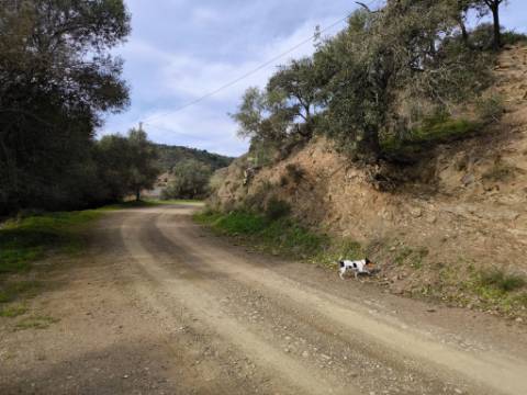 TERRENO RÚSTICO COM 1.920 M² - PRÓXIMO A ELETRICIADADE - JUNTO À RIBEIRA DE ODELEITE - FOZ DE ODELEITE EM CASTRO MARIM - ALGARVE