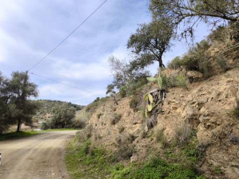 TERRENO RÚSTICO COM 1.920 M² - PRÓXIMO A ELETRICIADADE - JUNTO À RIBEIRA DE ODELEITE - FOZ DE ODELEITE EM CASTRO MARIM - ALGARVE