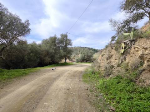 TERRENO RÚSTICO COM 1.920 M² - PRÓXIMO A ELETRICIADADE - JUNTO À RIBEIRA DE ODELEITE - FOZ DE ODELEITE EM CASTRO MARIM - ALGARVE
