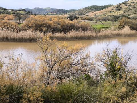 TERRENO RÚSTICO COM 1.920 M² - PRÓXIMO A ELETRICIADADE - JUNTO À RIBEIRA DE ODELEITE - FOZ DE ODELEITE EM CASTRO MARIM - ALGARVE