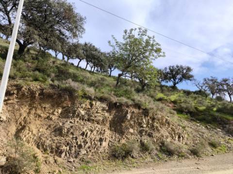 TERRENO RÚSTICO COM 1.920 M² - PRÓXIMO A ELETRICIADADE - JUNTO À RIBEIRA DE ODELEITE - FOZ DE ODELEITE EM CASTRO MARIM - ALGARVE