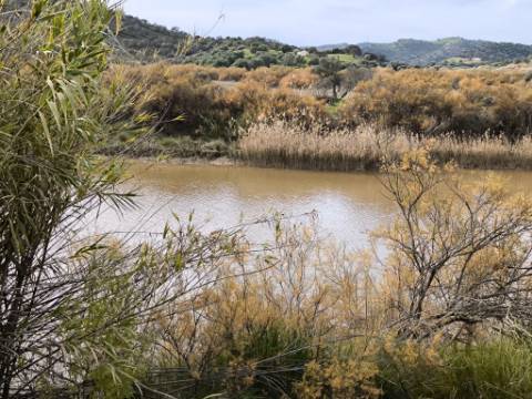 TERRENO RÚSTICO COM 1.920 M² - PRÓXIMO A ELETRICIADADE - JUNTO À RIBEIRA DE ODELEITE - FOZ DE ODELEITE EM CASTRO MARIM - ALGARVE