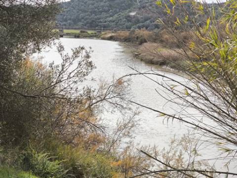 TERRENO RÚSTICO COM 1.920 M² - PRÓXIMO A ELETRICIADADE - JUNTO À RIBEIRA DE ODELEITE - FOZ DE ODELEITE EM CASTRO MARIM - ALGARVE