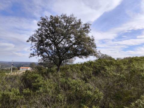 TERRENO COM 55.480 M² - COM POSSIBILIDADE DE CONSTRUÇÃO - HABITAÇÃO - TURISMO RURAL - ODELEITE - CASTRO MARIM - ALGARVE