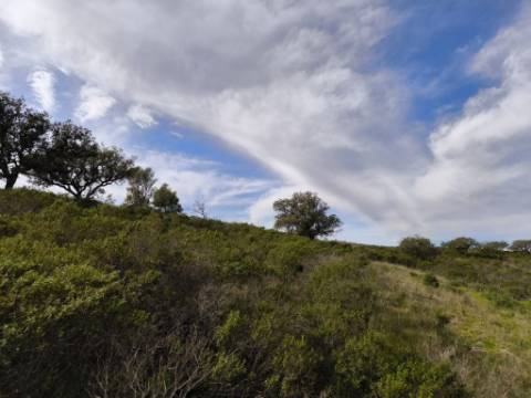 TERRENO COM 55.480 M² - COM POSSIBILIDADE DE CONSTRUÇÃO - HABITAÇÃO - TURISMO RURAL - ODELEITE - CASTRO MARIM - ALGARVE