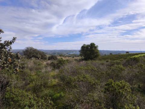TERRENO COM 55.480 M² - COM POSSIBILIDADE DE CONSTRUÇÃO - HABITAÇÃO - TURISMO RURAL - ODELEITE - CASTRO MARIM - ALGARVE
