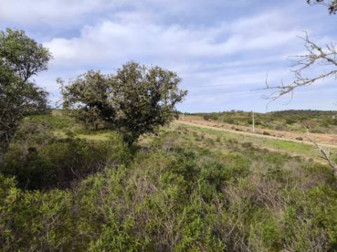 TERRENO COM 55.480 M² - COM POSSIBILIDADE DE CONSTRUÇÃO - HABITAÇÃO - TURISMO RURAL - ODELEITE - CASTRO MARIM - ALGARVE