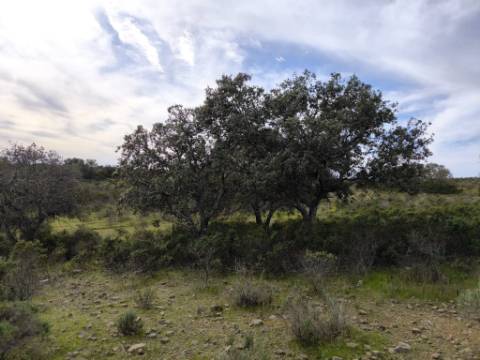 TERRENO COM 55.480 M² - COM POSSIBILIDADE DE CONSTRUÇÃO - HABITAÇÃO - TURISMO RURAL - ODELEITE - CASTRO MARIM - ALGARVE