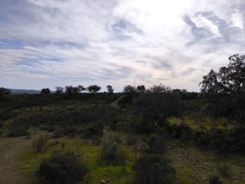 TERRENO COM 55.480 M² - COM POSSIBILIDADE DE CONSTRUÇÃO - HABITAÇÃO - TURISMO RURAL - ODELEITE - CASTRO MARIM - ALGARVE